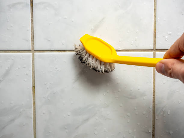 Professional Mold Remediation in Scenic Oaks, TX