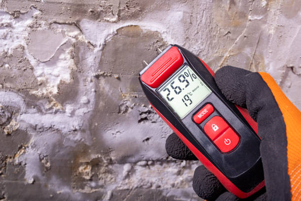 Best Black Mold Remediation in Scenic Oaks, TX